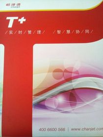 成都市財(cái)務(wù)管理軟件市場(chǎng)概覽 廠家、供應(yīng)商與網(wǎng)上貿(mào)易代理